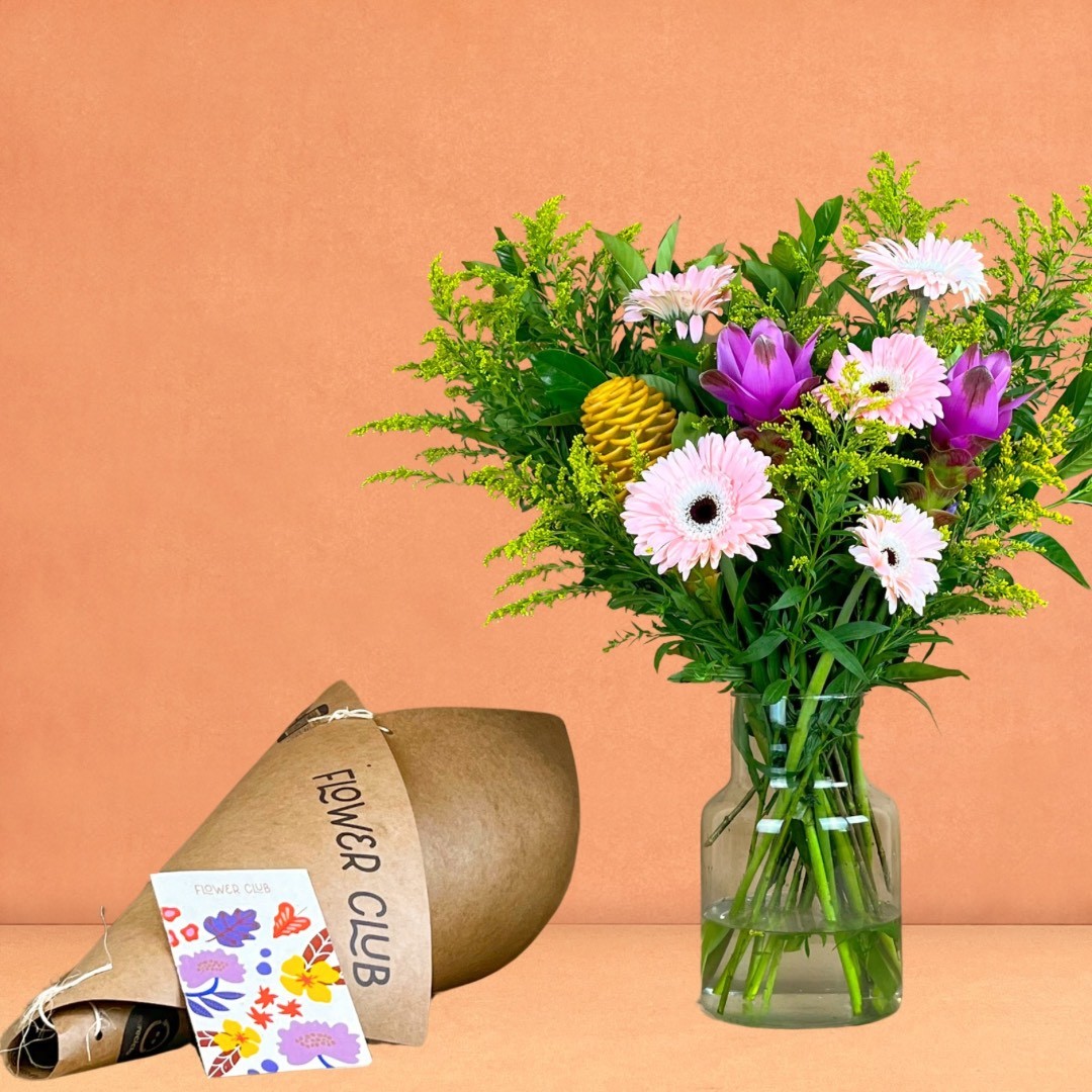 COMO CUIDAR DAS SUAS FLORES: