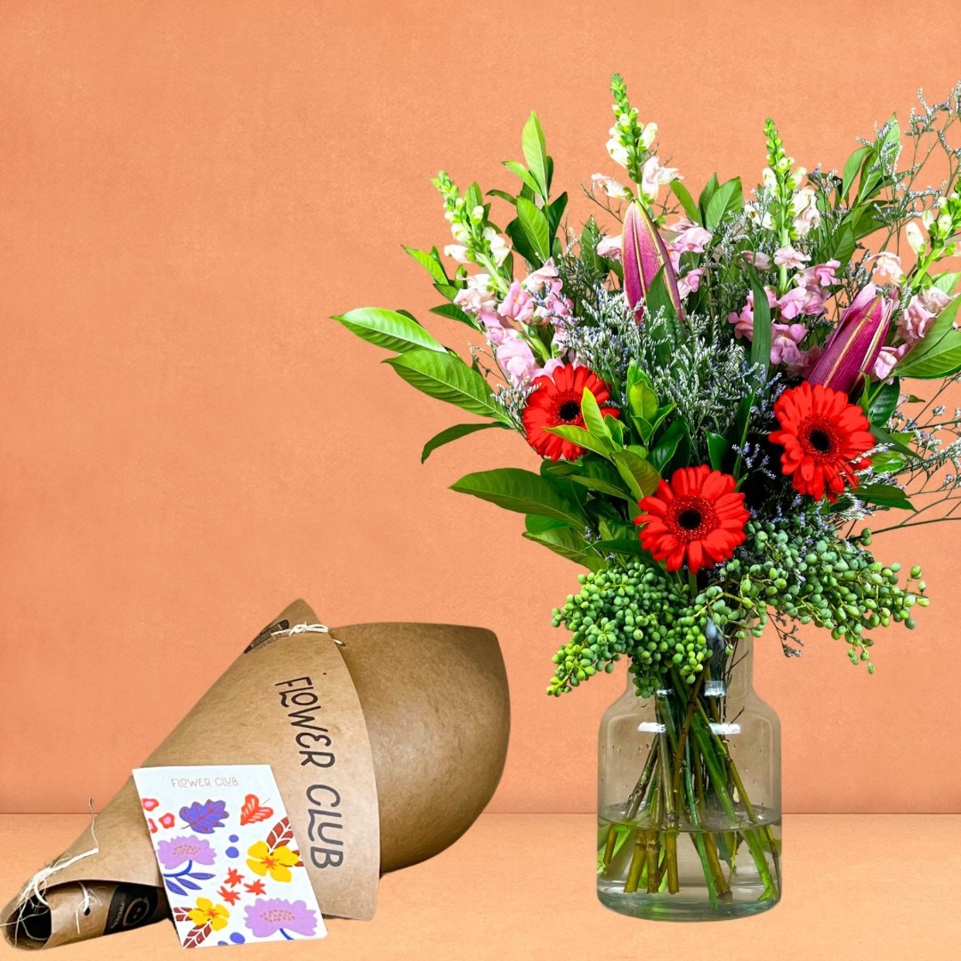COMO CUIDAR DAS SUAS FLORES: