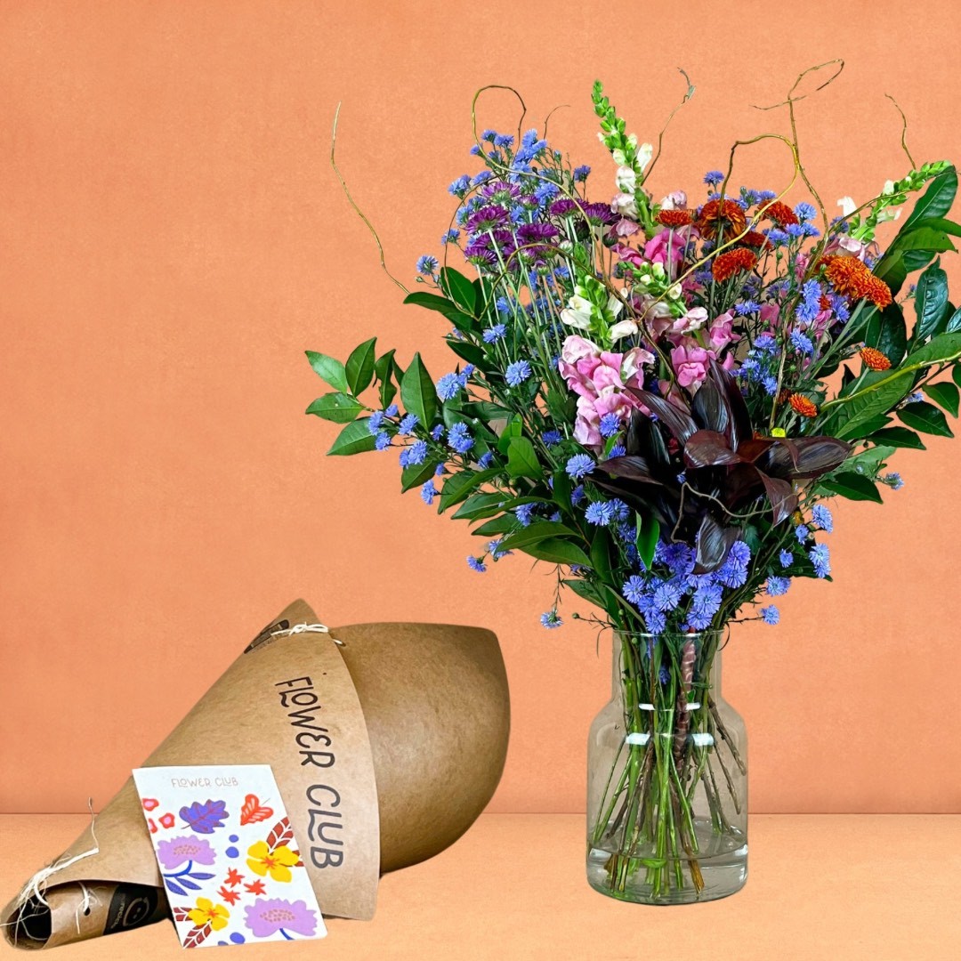 COMO CUIDAR DAS SUAS FLORES: