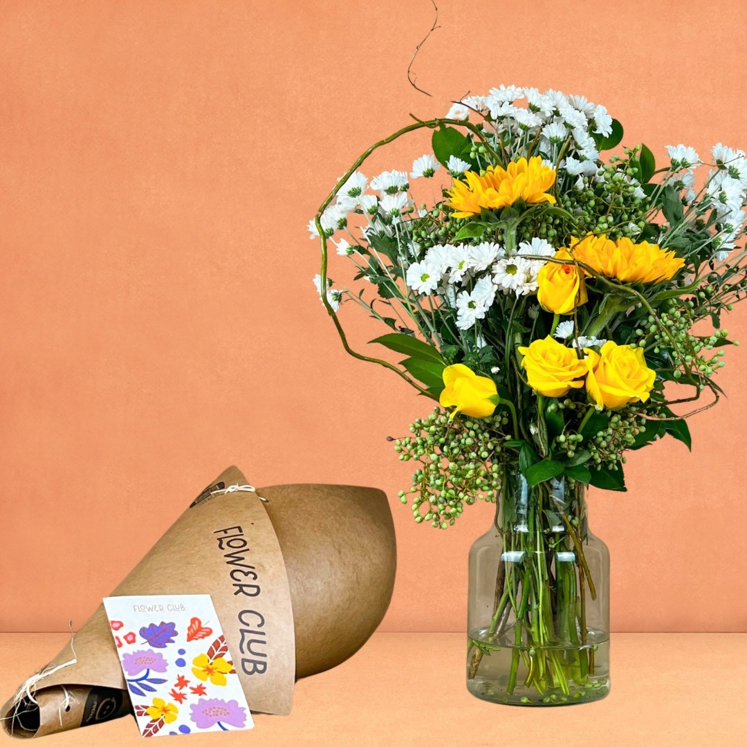 COMO CUIDAR DAS SUAS FLORES: