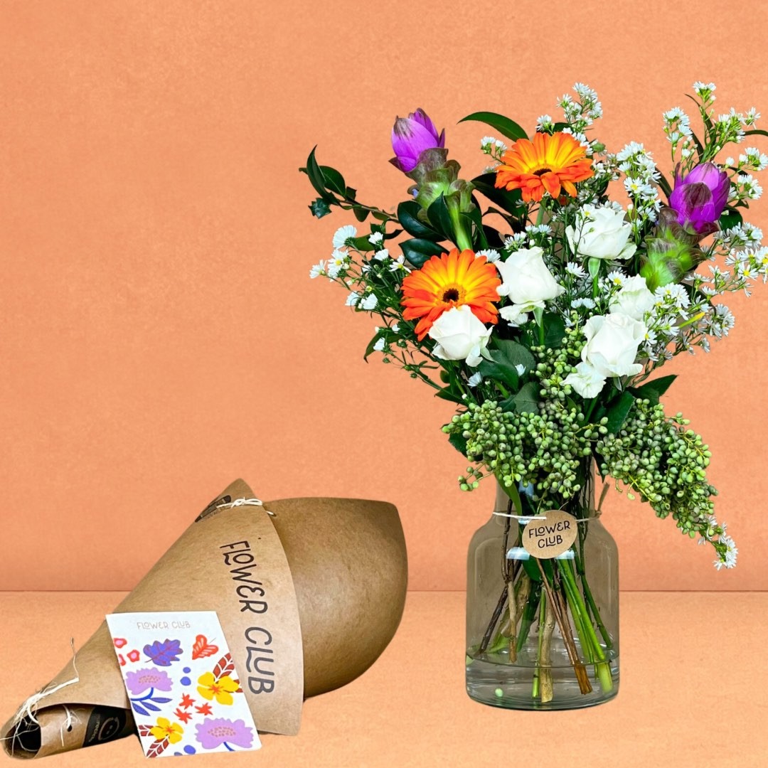 COMO CUIDAR DAS SUAS FLORES:
