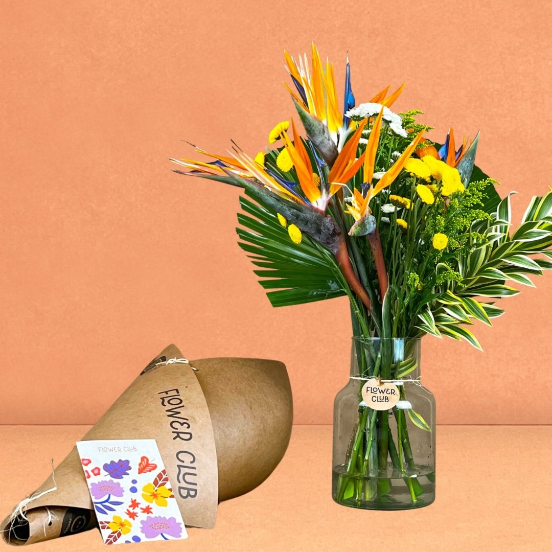 COMO CUIDAR DAS SUAS FLORES: