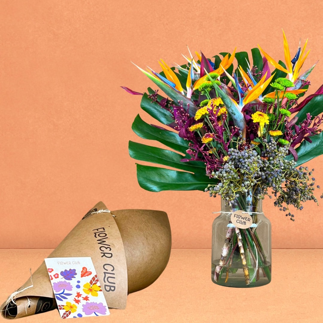 COMO CUIDAR DAS SUAS FLORES: