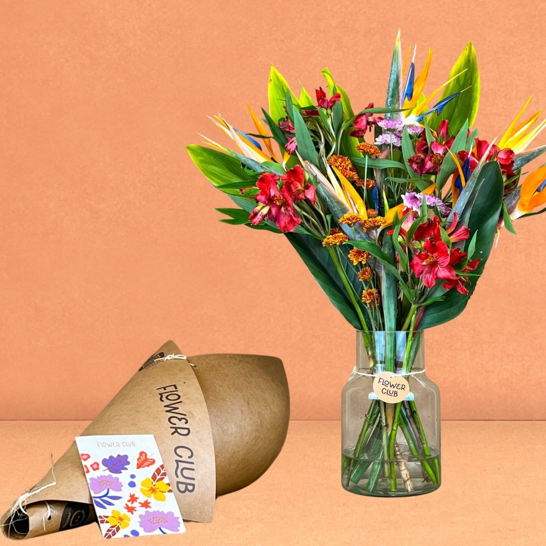 DICAS E CUIDADOS COM SUAS FLORES: