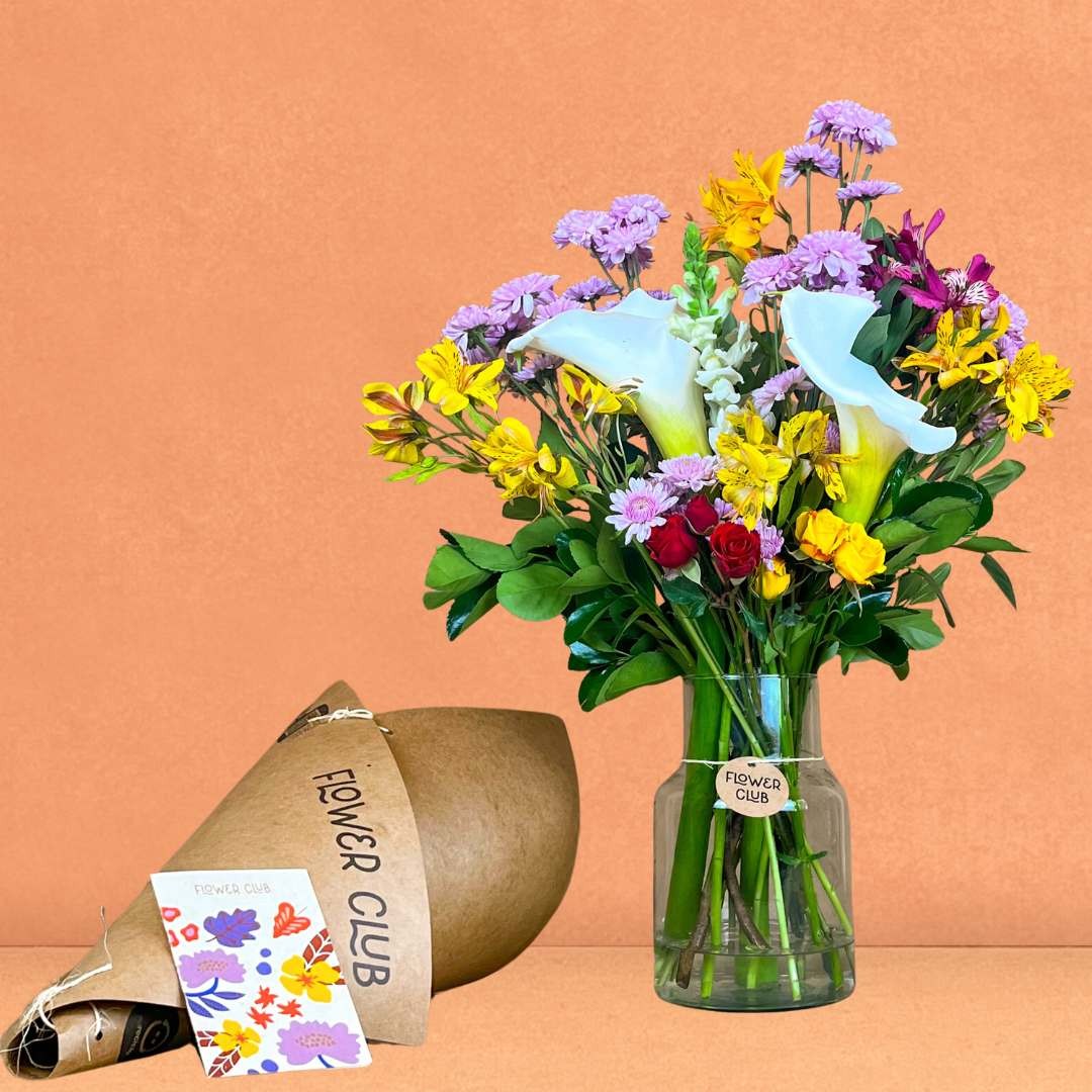 DICAS E CUIDADOS COM SUAS FLORES: