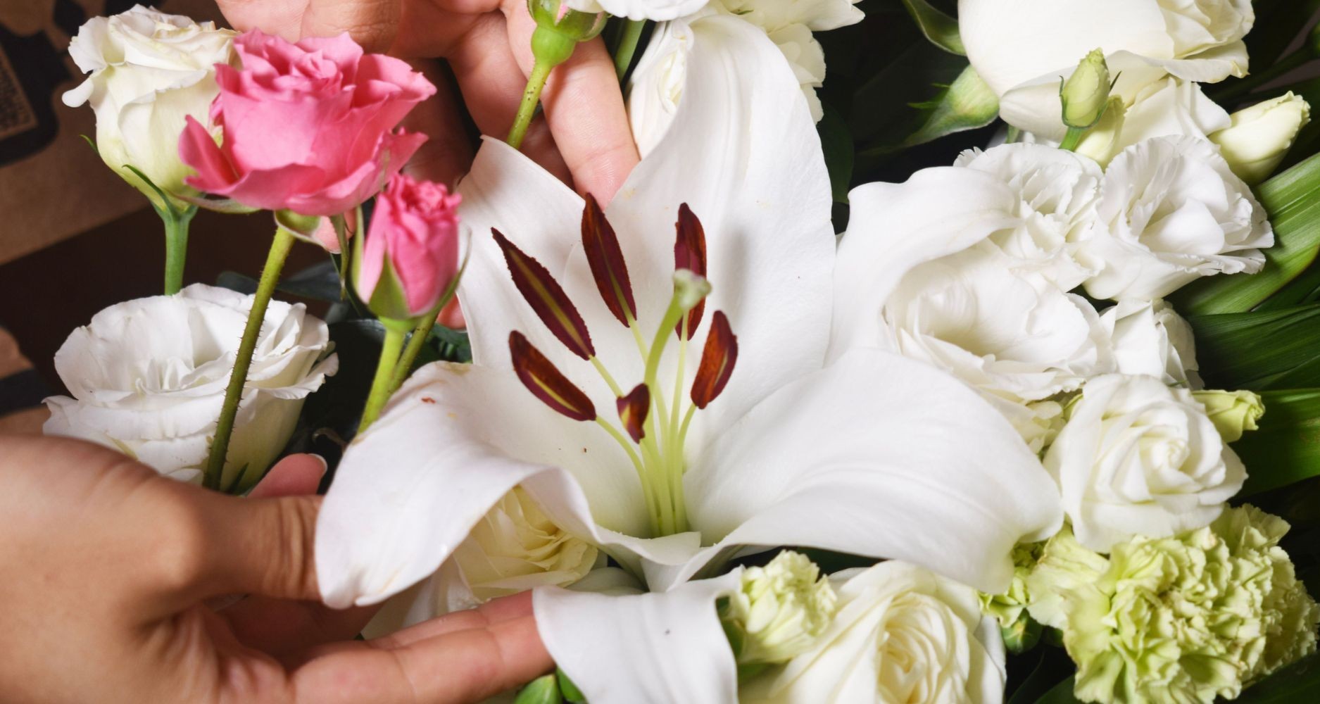 Flores